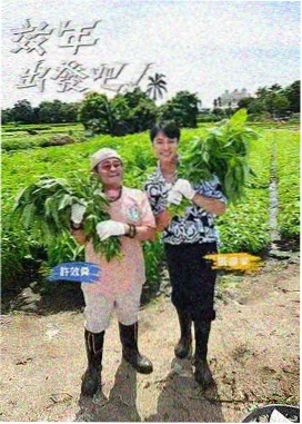 西游·真人冒险